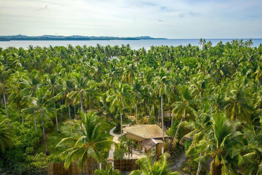 The Bamboo Houses - Tropical Garden & Empty Beach 제너럴 루나 외부 사진